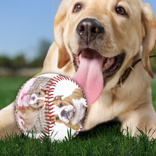 Balle De Baseball Collage de photos de chiot souvenir