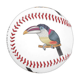 Balle De Baseball Curl crested aracari bird cartoon