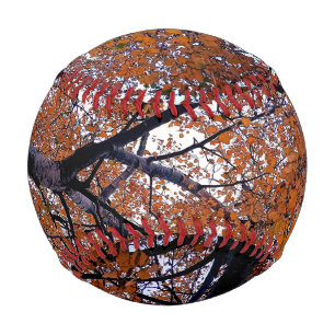 Balle De Baseball Feuille orange