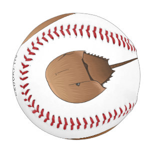 Balle De Baseball Horseshoe crab