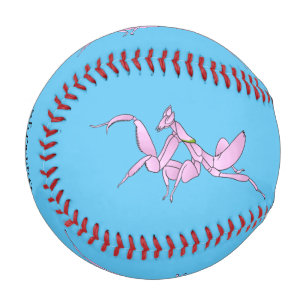 Balle De Baseball Illustration de l'orchidée mante