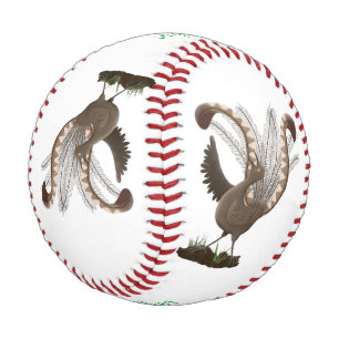 Balle De Baseball Illustration de superbe et superbe lyrebird