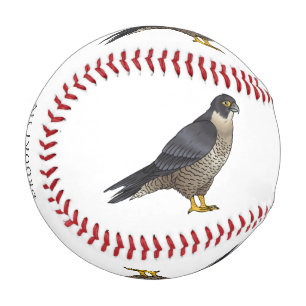 Balle De Baseball Illustration d'oiseau de faucon pèlerin