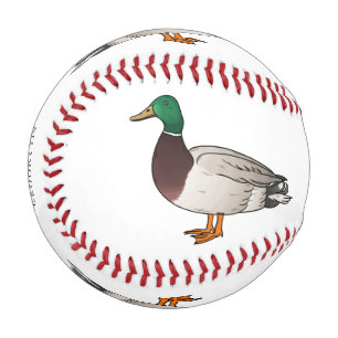 Balle De Baseball Illustration du canard de Majard