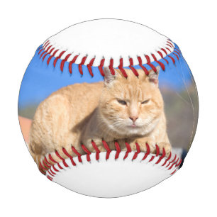 Balle De Baseball Lazy cat