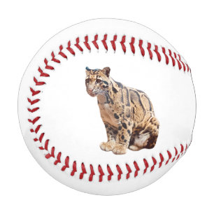 Balle De Baseball léopard nébuleux photographie jungle grand félin a