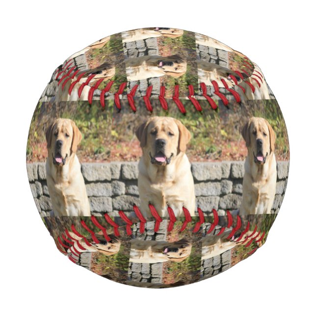 Balle De Baseball Photo de chien animal (Devant)