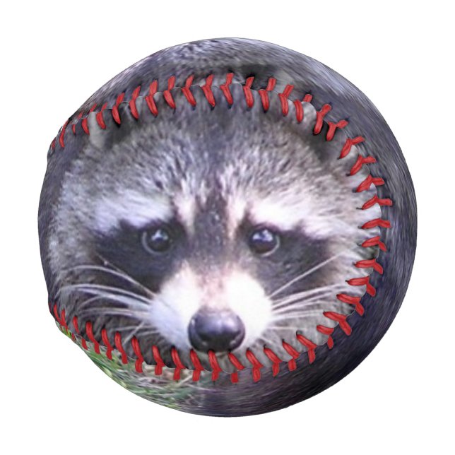 Balle De Baseball Rocky le Raccoon (Devant Droite)
