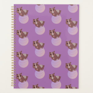 Balle de fitness violette pour cochons d'Inde mign