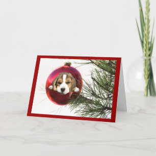 Balle de la carte de Noël beagle