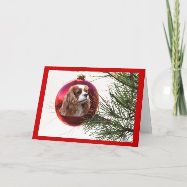 Balle de la carte de Noël Cavalier King Charles Sp (Devant)