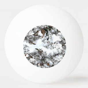 Balle De Ping Pong Abstrait de neige