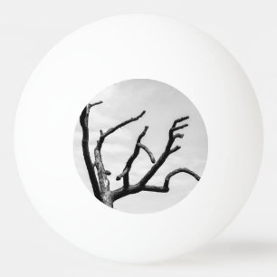 Balle De Ping Pong arbre libre