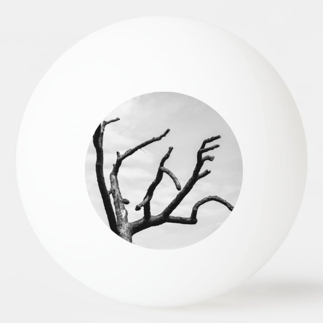 Balle De Ping Pong arbre libre (Devant)