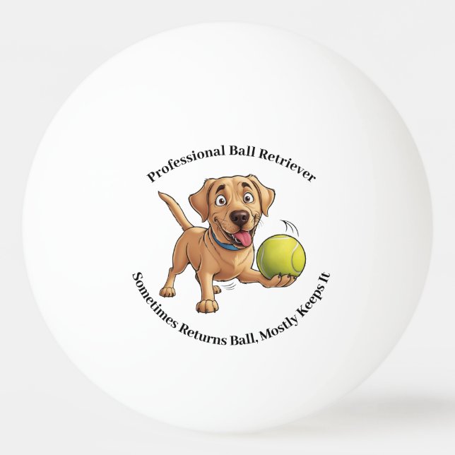 Balle De Ping Pong Balle professionnelle de l'essayeur Pong Ball (Devant)