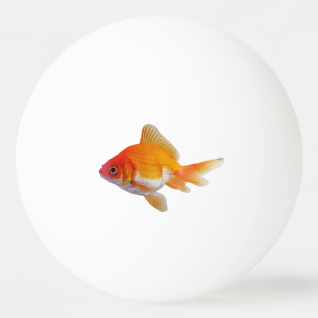 Balle De Ping Pong Boule de ping-pong de poisson rouge (Devant)