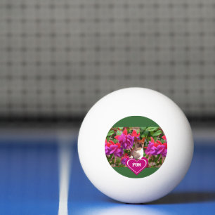 Balle De Ping Pong Bouledogue français coeur Mère Bouledogue Français