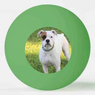 Balle De Ping Pong Boxer