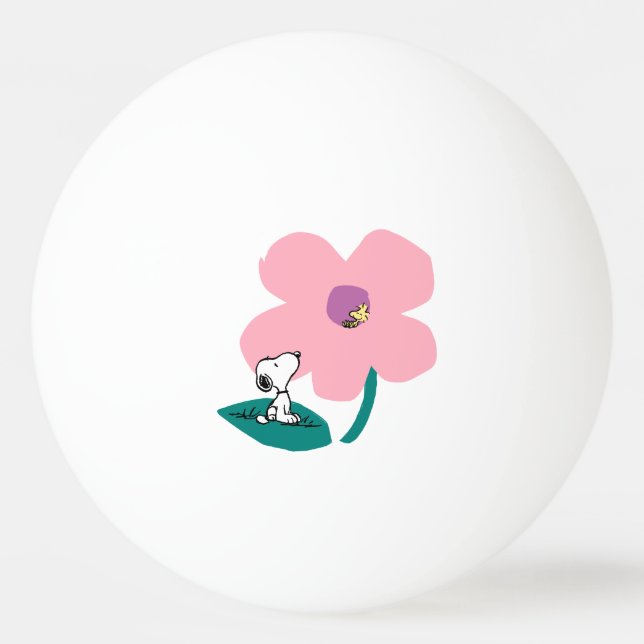 Balle De Ping Pong cacahuètes | Illustration Nature Rose Flower (Devant)