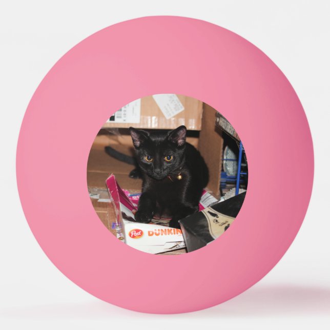 Balle De Ping Pong Cat (Devant)