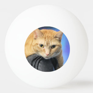 Balle De Ping Pong Catouragan