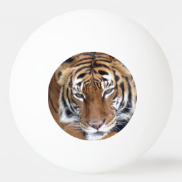 Balle De Ping Pong Ce Tigre Signifie Business Ping Pong Ball