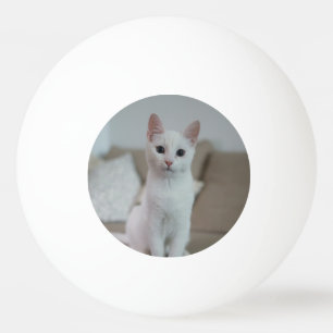 Balle De Ping Pong chat blanc Zazzle_Growshop.