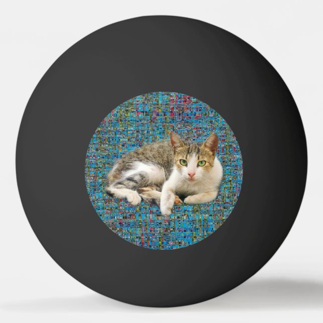 Balle De Ping Pong Chat mignon sur arrière - plan abstrait (Devant)