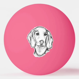 Balle De Ping Pong Chien-chien dragon