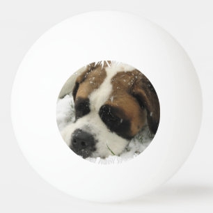 Balle De Ping Pong Chien de St Bernard