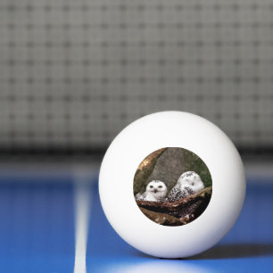 Balle De Ping Pong Chouette Harfang Couple Art Bois Faune