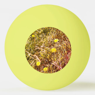 Balle De Ping Pong Cible de flechettes des Dandelions Jaunes
