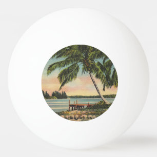 Balle De Ping Pong Coucher de soleil de brise tropicale vintage de co