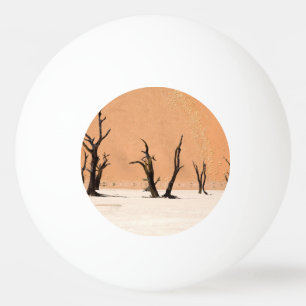 Balle De Ping Pong Dead Vlei, Namibie
