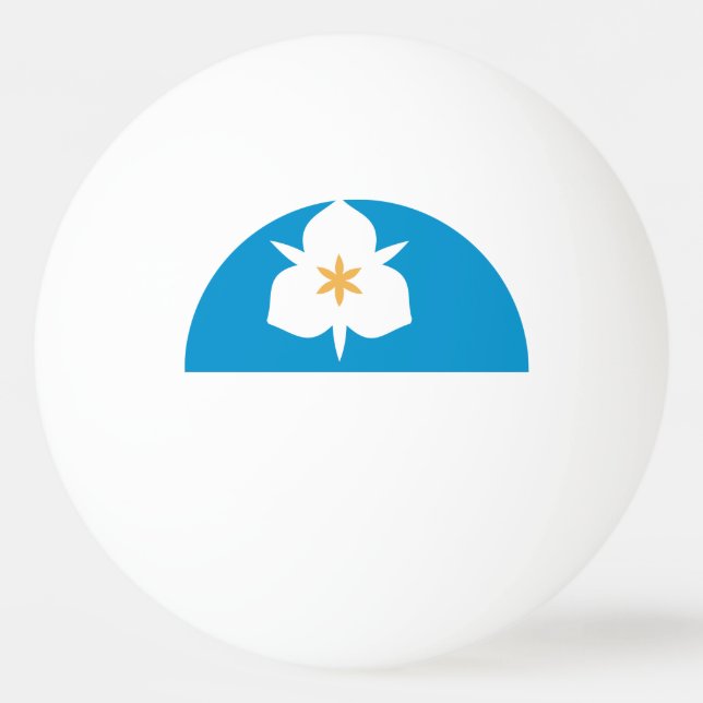 Balle De Ping Pong Drapeau de Salt Lake City, Utah (Devant)