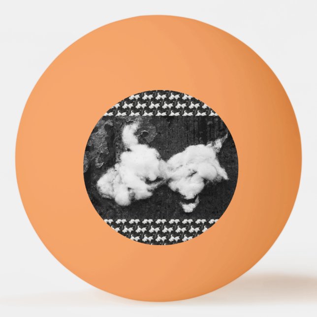 Balle De Ping Pong duvet (Devant)