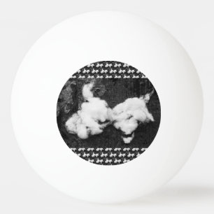 Balle De Ping Pong duvet