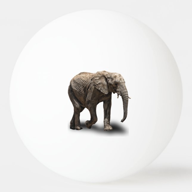 BALLE DE PING PONG ÉLÉPHANT (Devant)