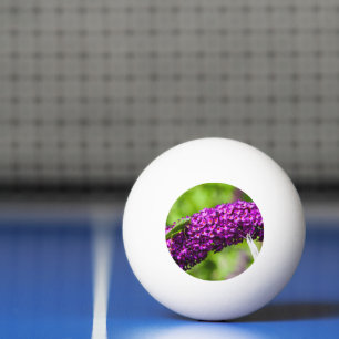 Balle De Ping Pong énergie de la sauterelle