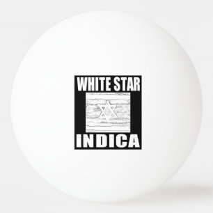 BALLE DE PING PONG ÉTOILE BLANCHE INDICA