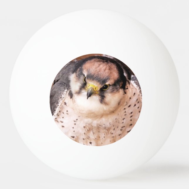 BALLE DE PING PONG FALCON BIRD DE PREY (Devant)
