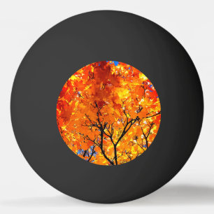Balle De Ping Pong Feuille orange