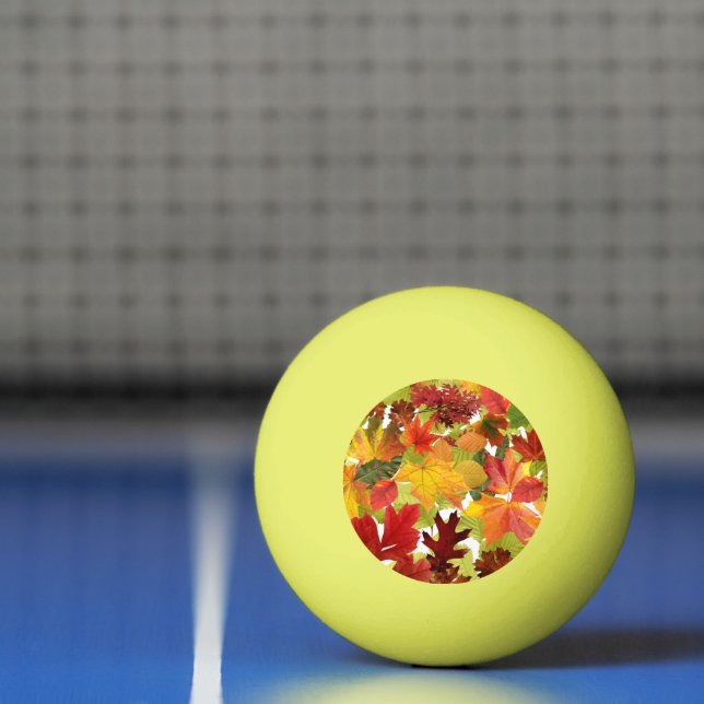 Balle De Ping Pong Feuilles automnales d'automne (Filet)