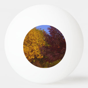 Balle De Ping Pong Feuilles d'automne Jaune et pourpre, ZSSPG