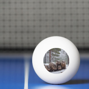 Balle De Ping Pong Frozen Burrow : famille australienne Wombat