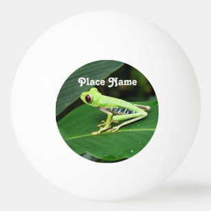 Balle De Ping Pong Grenouille d'arbre du Costa Rica