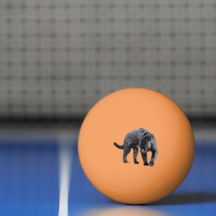 Balle De Ping Pong Jaguar Diablo 3 étoiles orange