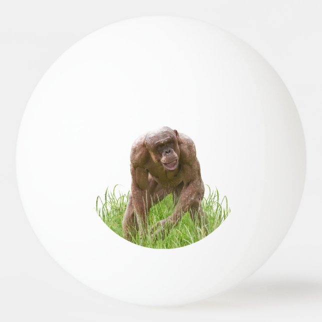 Balle De Ping Pong Jambo Le Chimp Unique Sans Cheveux (Devant)