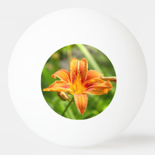 Balle De Ping Pong Jolie grande fleur Lily photo