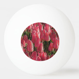 Balle De Ping Pong Jolie tulipe rose